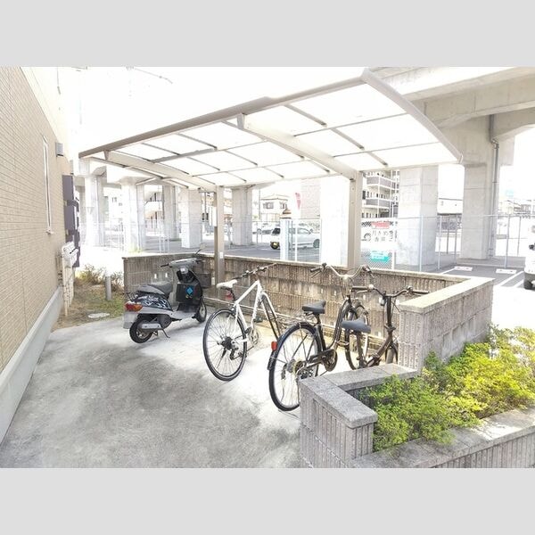  クリプトメリア