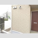  クリプトメリア