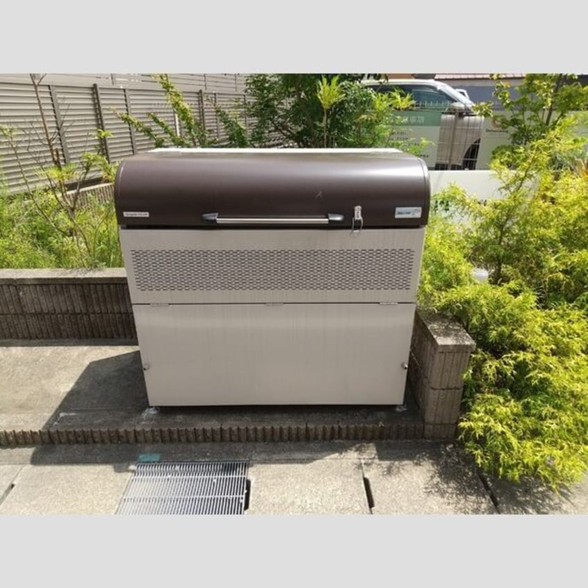  クリプトメリア