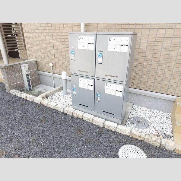  クリプトメリア