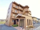 ブラウニィヒル