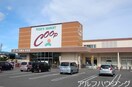 ローソン(コンビニ)まで650m ブリリアンス