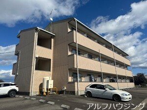 シューフルールⅥ