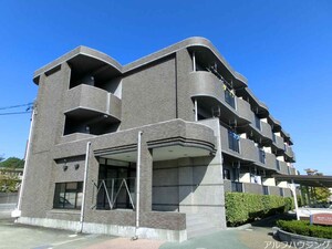 モルト．ヴィヴァーチェ