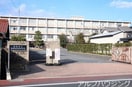 東濃実業高校(高等学校/高等専門学校)まで1600m サンシャインＡ