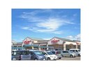 バロー広見店(スーパー)まで736m ルビーン・レオーネA