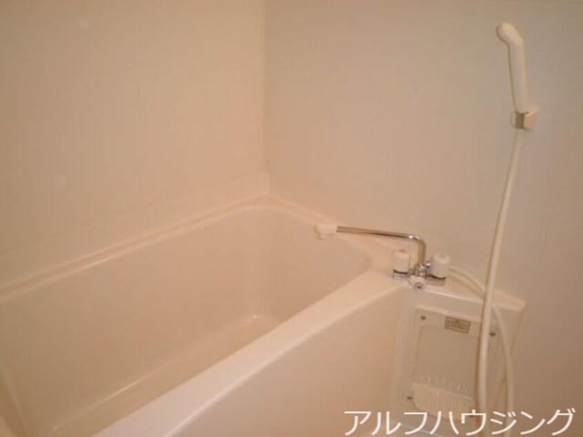 イメージ Camino 8