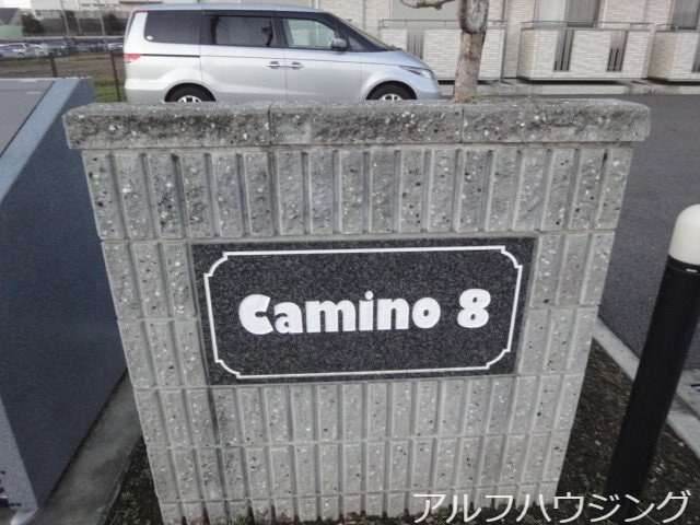  Camino 8