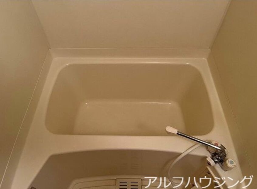 イメージ Camino 8