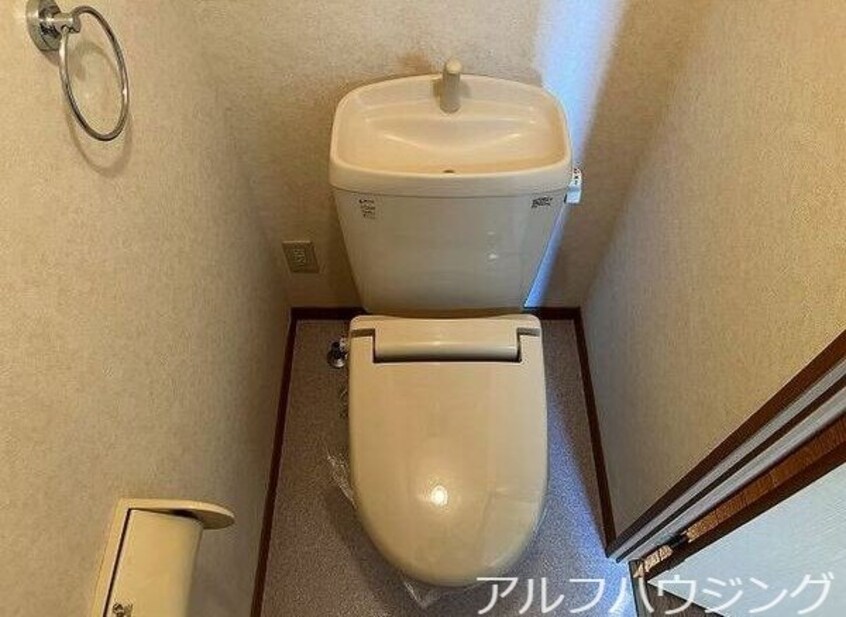 イメージ Camino 8