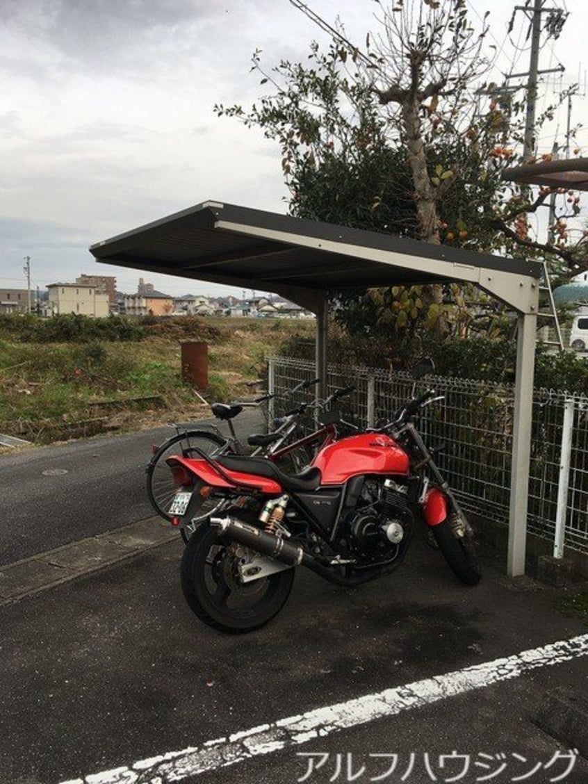  Surplus Oneゆとり