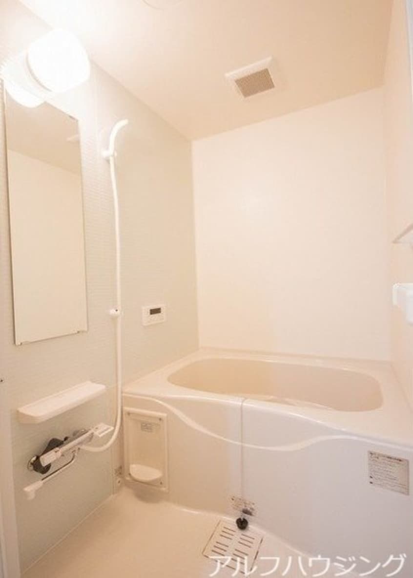 イメージ アルバコート