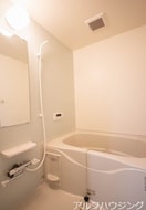 イメージ アルバコート