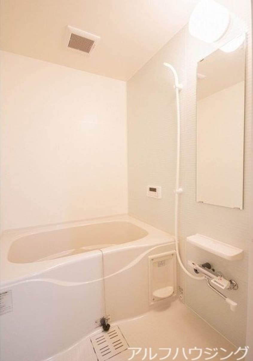 イメージ アルバコート