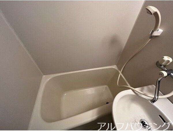 イメージ ドリームロード