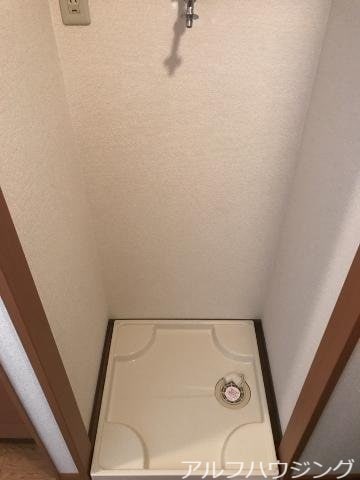 その他 エヴァー　グリーン（ＥＶＥＲ ＧＲＥＥＮ）