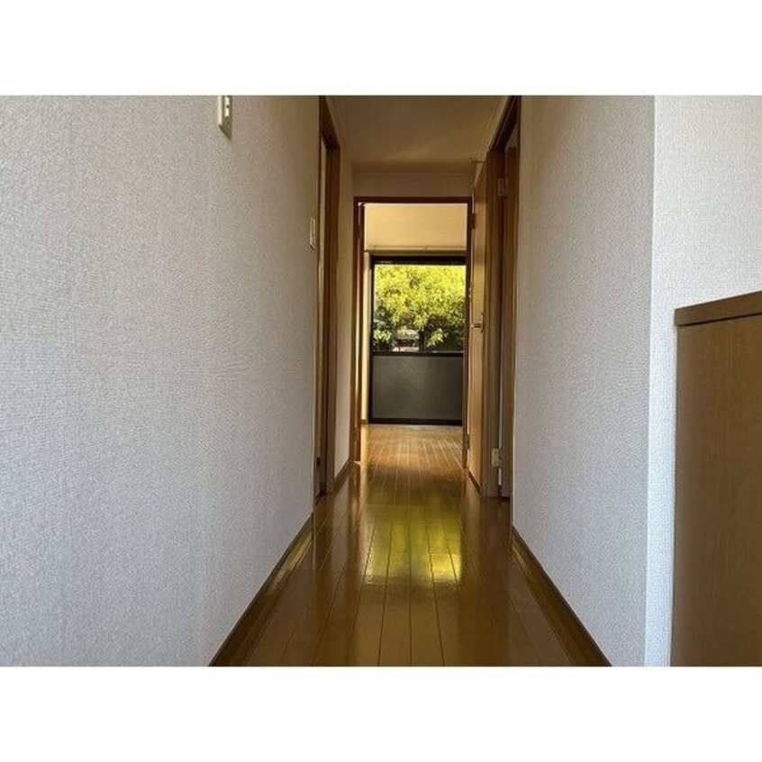 イメージ シェルヴェール