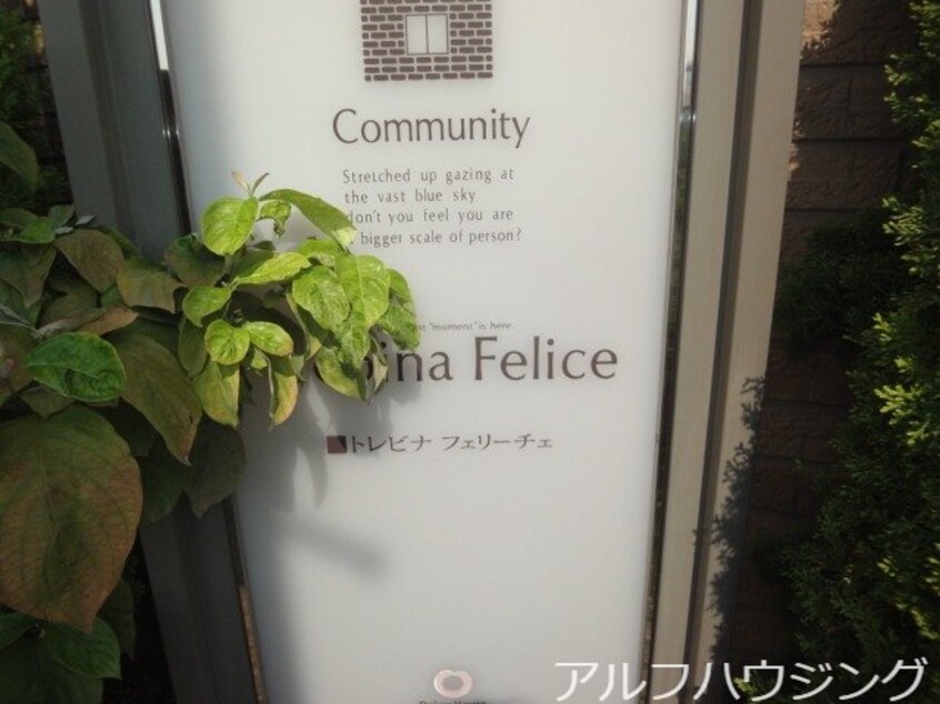  トレビナフェリーチェ