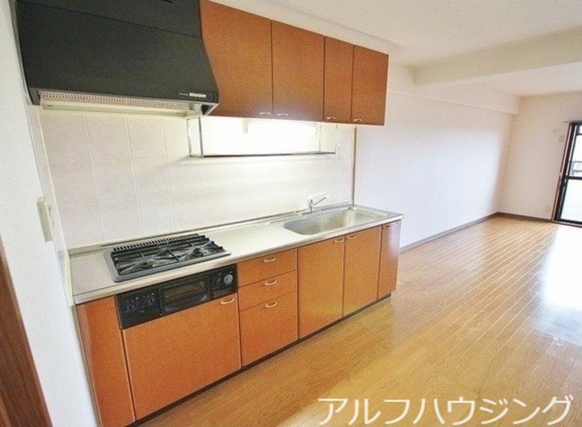  フェアリーライトⅡ