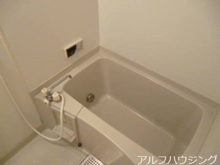 イメージ リアンＴ