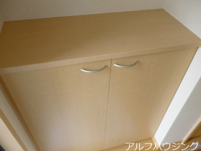 イメージ リアンＴ