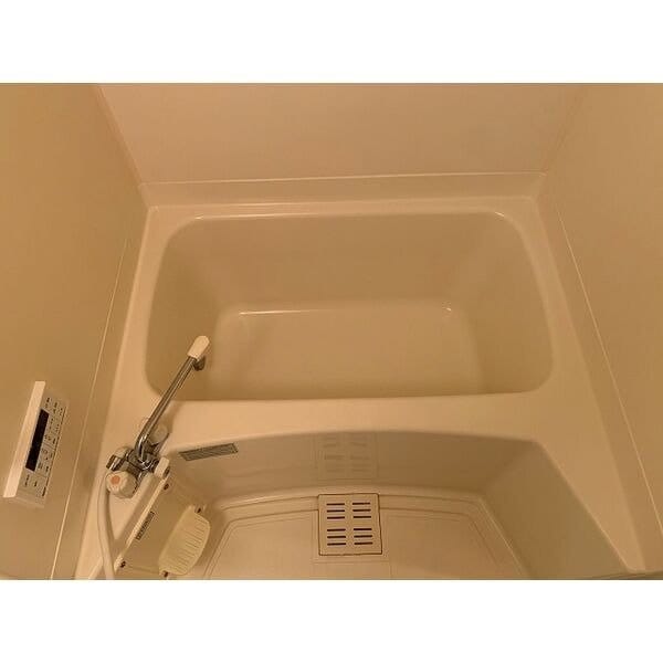  Ｂｒａｎｃｈｅ　Ｄｒｅａｍ