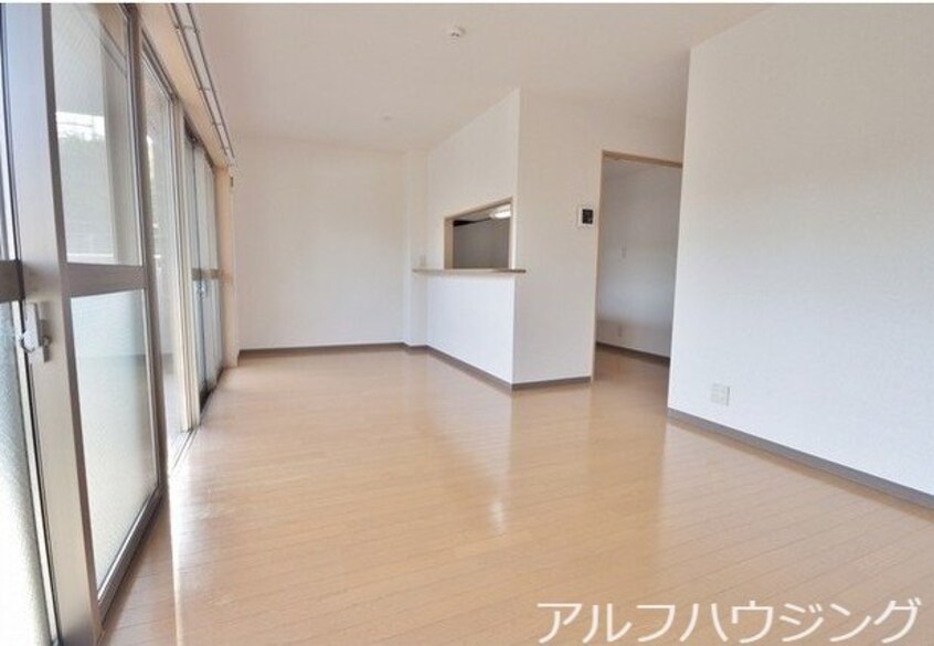  アムール　アドニス