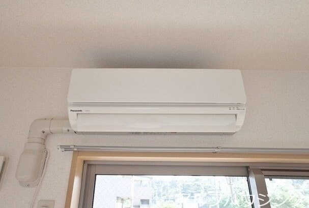  アムール　アドニス