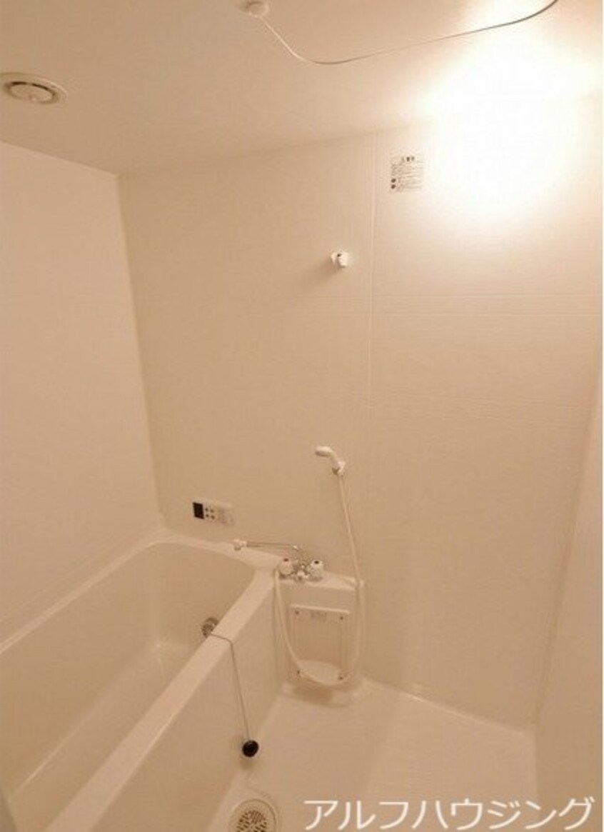  アムール　アドニス