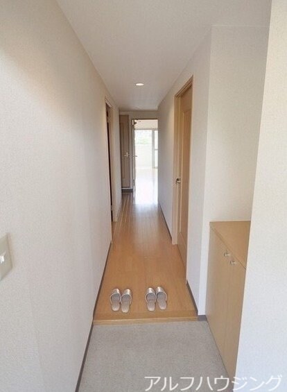  アムール　アドニス