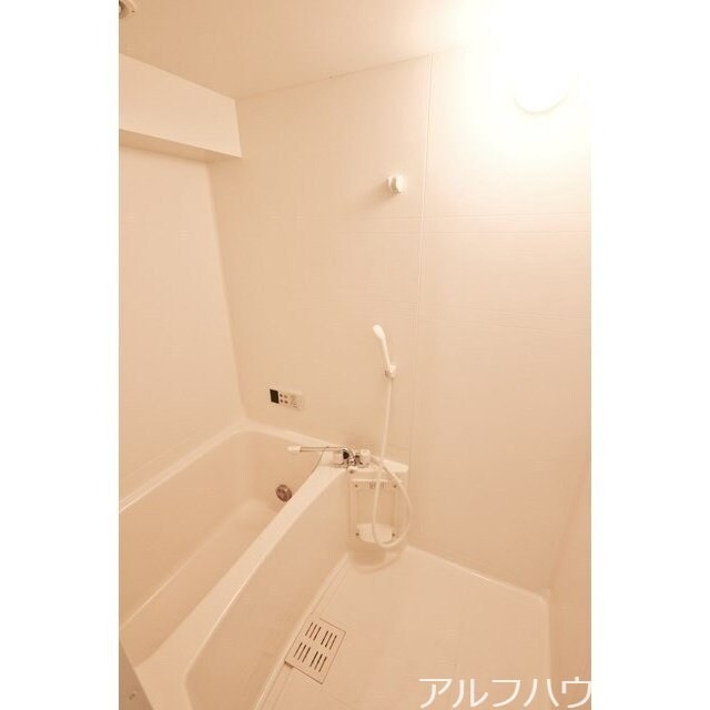  フェアリーライトⅡ