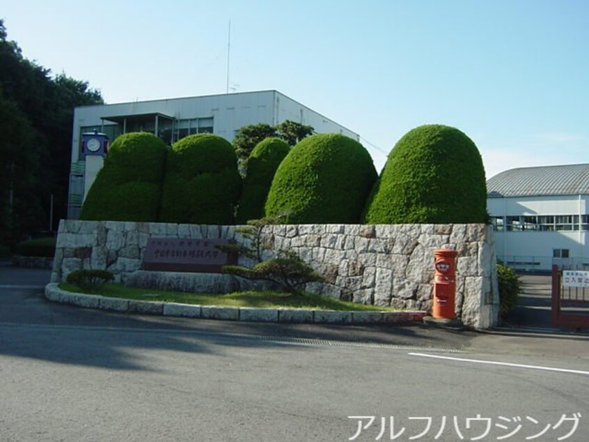 私立中日本自動車短期大学(大学/短大/専門学校)まで765m エスポアール郷