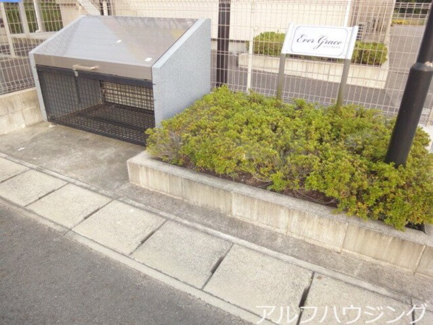  エバーグレイス