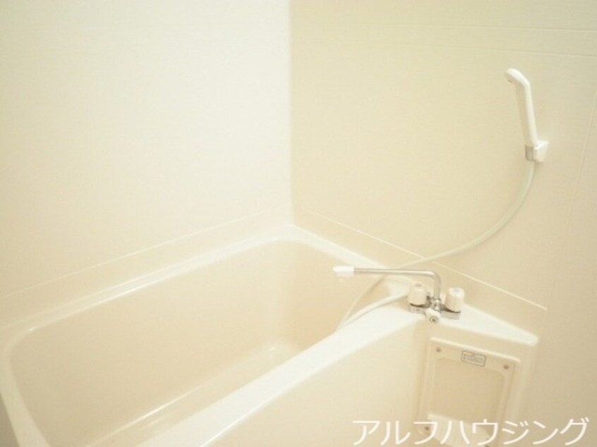  エバーグレイス