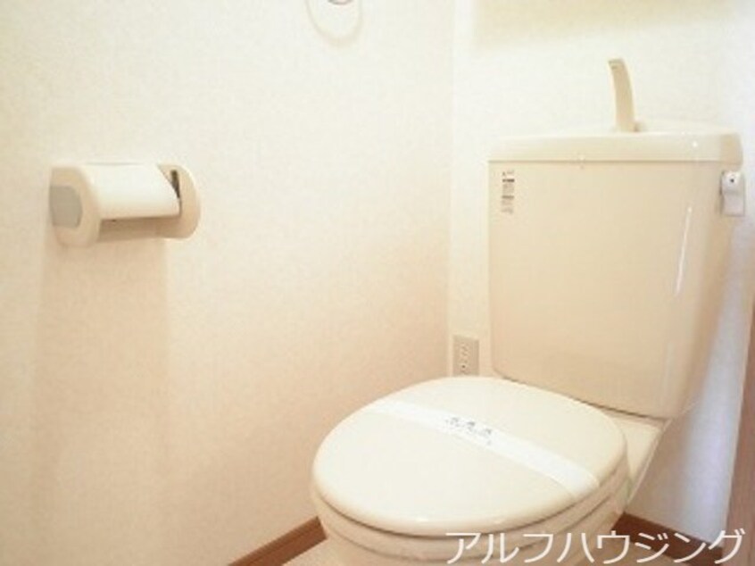  エバーグレイス