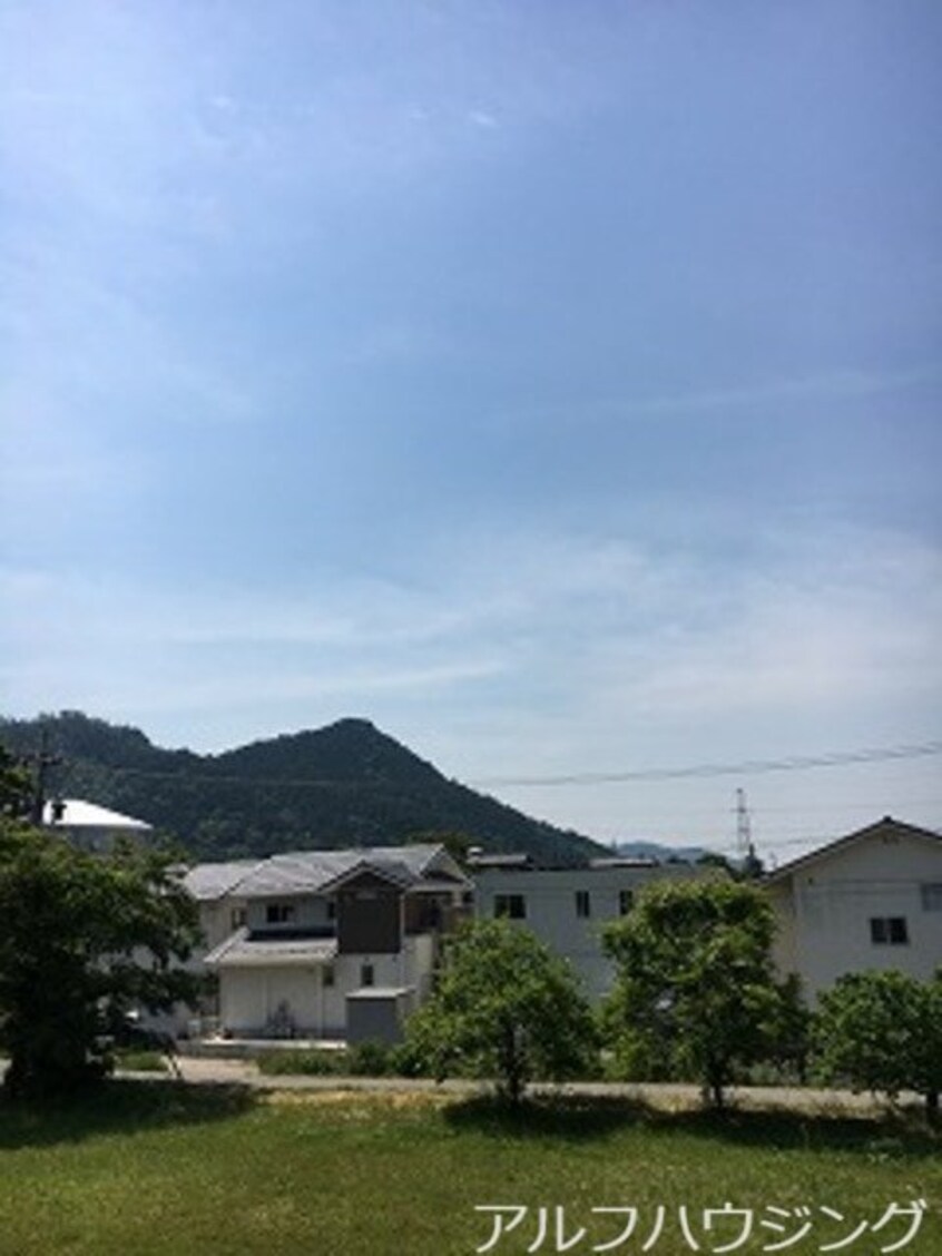  エバーグレイス