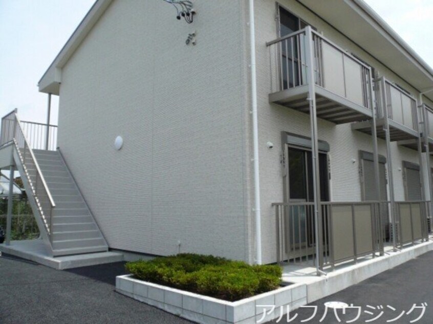  エバーグレイス