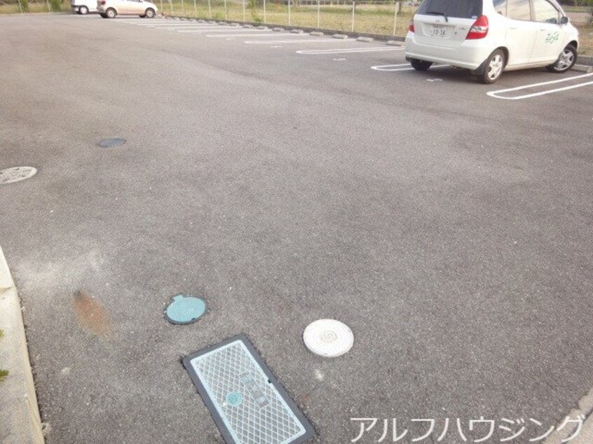  エバーグレイス