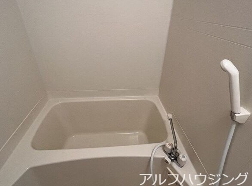  エバーグレイス