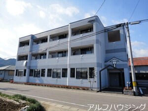 サンクセラー６０５（Ｃｉｎｑ　Ｃｅｌｌｉｅｒ　６０５）