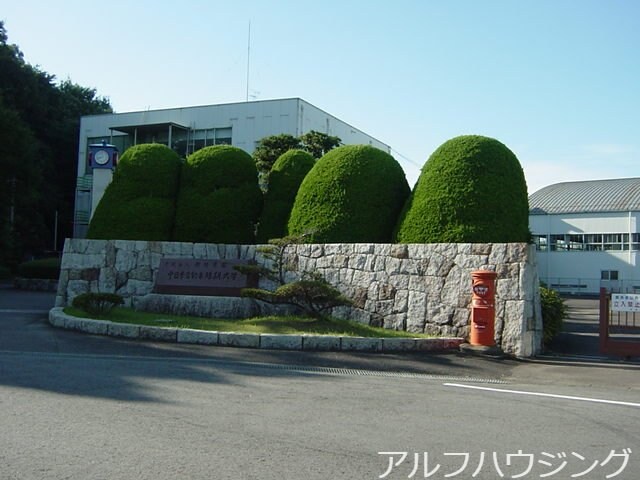 私立中日本自動車短期大学(大学/短大/専門学校)まで2091m マディナット・ジュメイラ