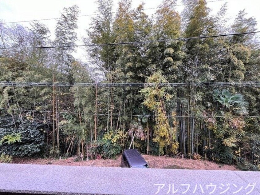  ウィステリアｗｉｎｄ