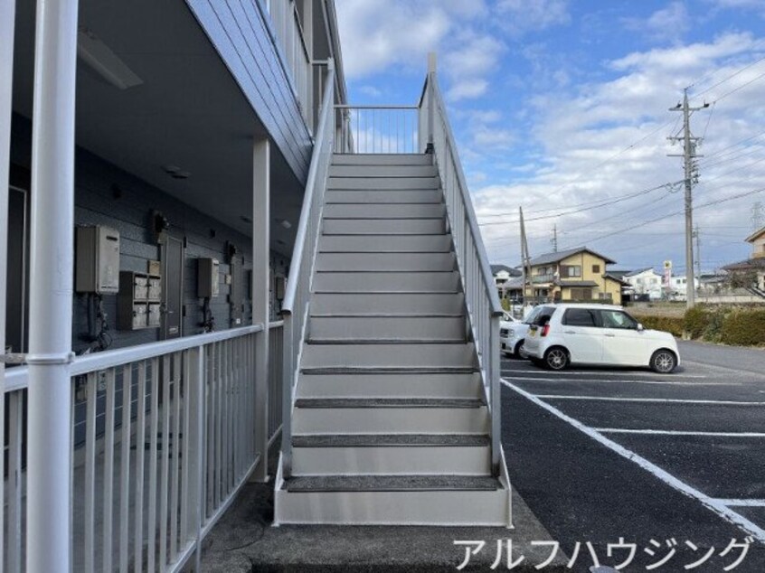  サープラスワン アネックス光