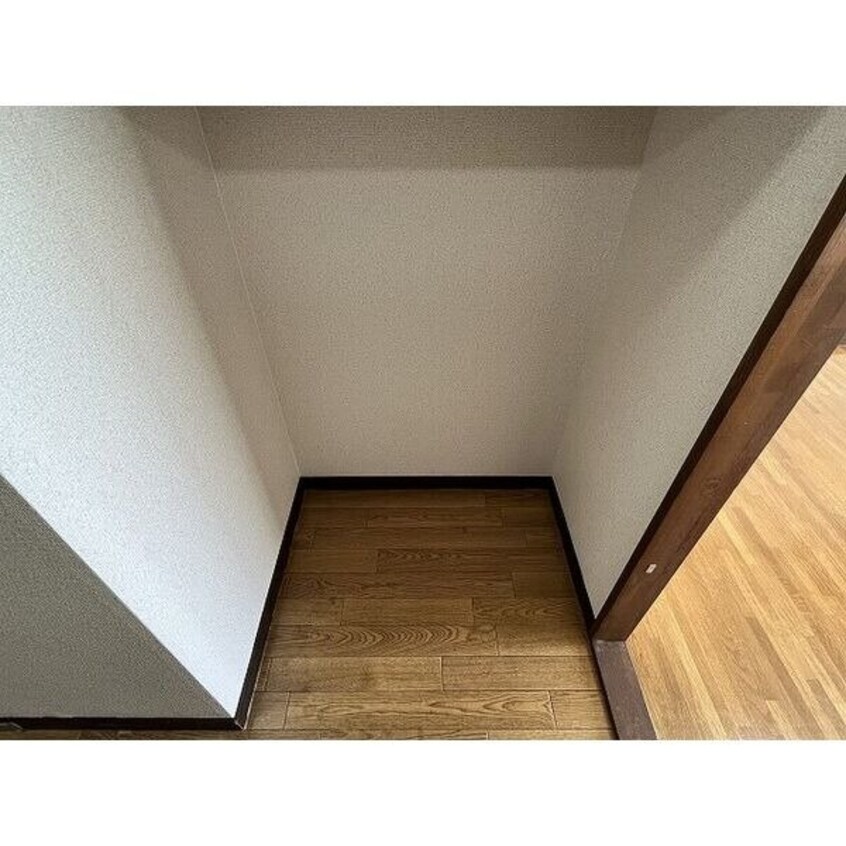  サープラスワン アネックス光