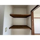  サープラスワン アネックス光