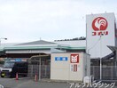 コメリ(電気量販店/ホームセンター)まで2600m 錦フォーリスト　ハーモニーＡ