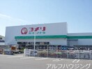 コメリ(電気量販店/ホームセンター)まで300m センプリーチェ　Β