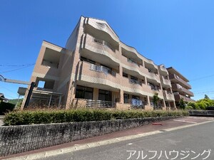 プルメリア・イズシ