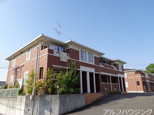 グランツ・姫　А