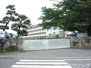 多治見市立養正小学校(小学校)まで2921m ステイモネット